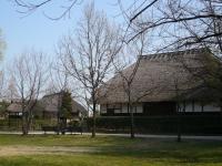 One of the photos I took at “MINKAEN”, Saitama, where one can still feel an age-old tradition firsthand.